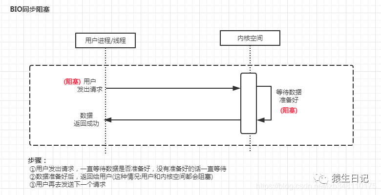 BIO(本人公众号图片)